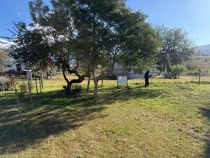 Terreno en Pampa Alta – Pedania Potrero de Garay – con Escritura