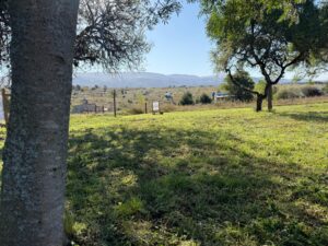 Terreno en Pampa Alta – Pedania Potrero de Garay – con Escritura