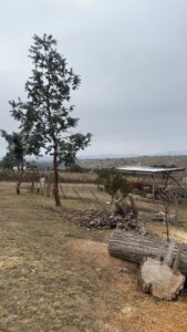 Cabaña de madera- Pampa Alta – Potrero de Garay